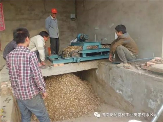 家禽養(yǎng)殖輸送帶 (1)