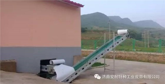 家禽養(yǎng)殖輸送帶 (2)