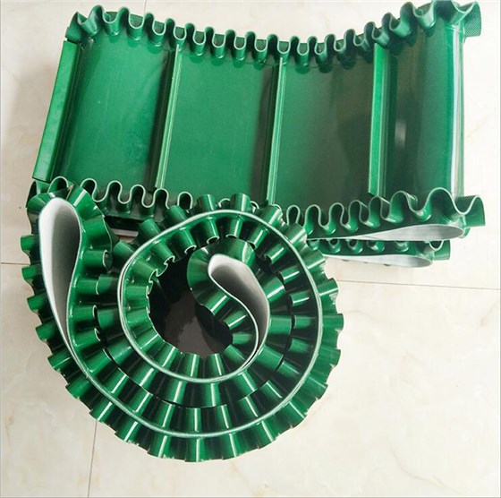 裙邊擋板輸送帶 (1)