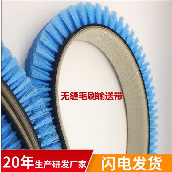 毛刷輸送帶 (2)