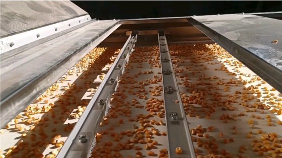 微信圖片_20231121110808