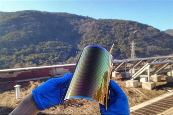 微信圖片_20231206113520