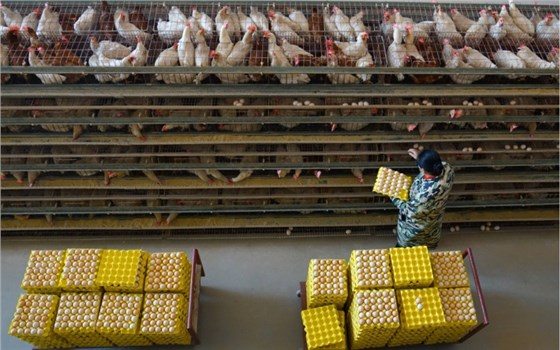 微信圖片_20240104145619