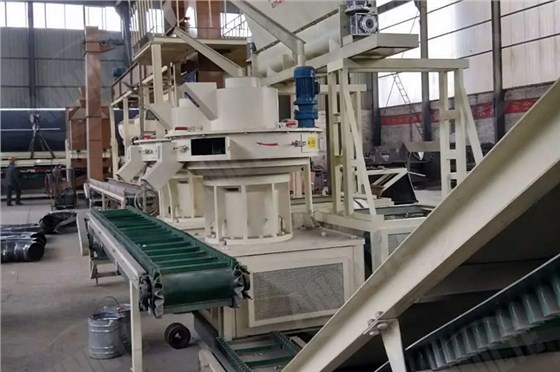 生物質顆粒輸送帶8