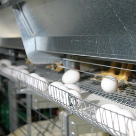 u=1540330440,1261878934&fm=199&app=68&f=JPEG