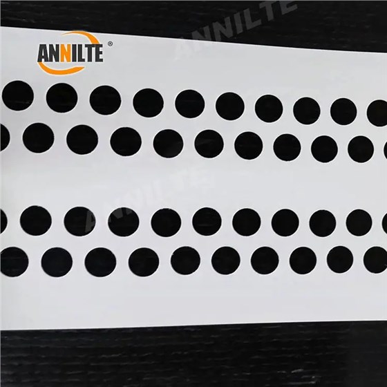 perforated_egg_belt_04_看圖王