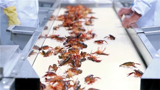 4e10bb3203584a33bdd62df47c4d2fa8_看圖王