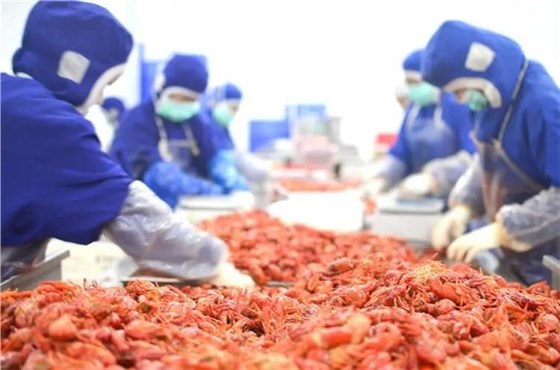 u=3002014393,27628404&fm=253&fmt=auto&app=138&f=JPEG_看圖王