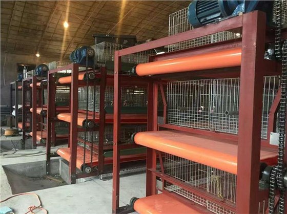 兔舍清糞帶0927-5