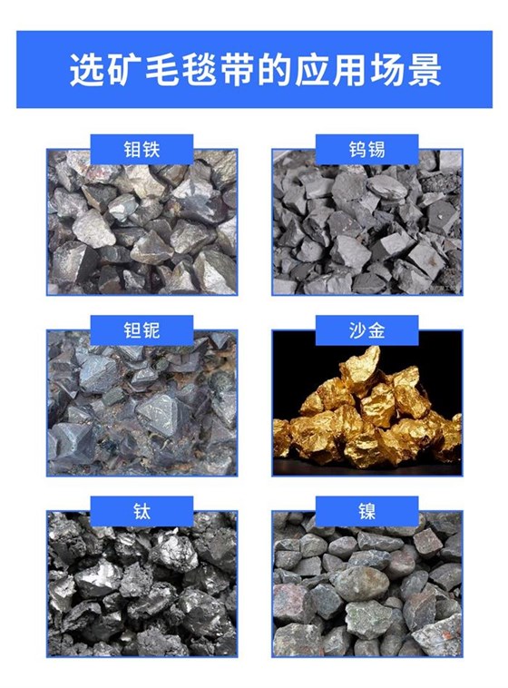 選礦毛毯帶1016-3