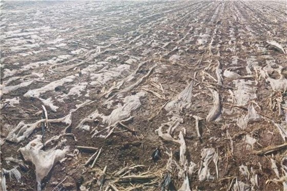 土壤污染防控計劃-3