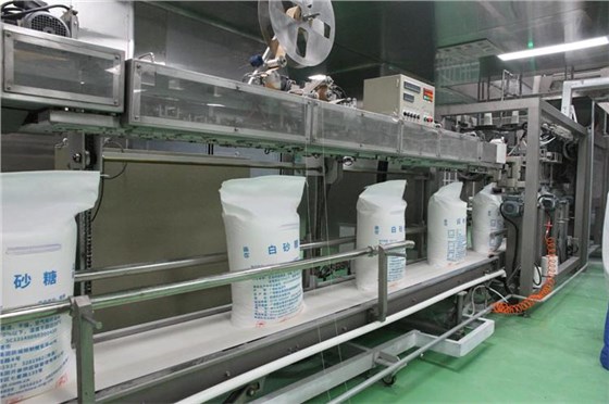 白糖輸送帶0124-1