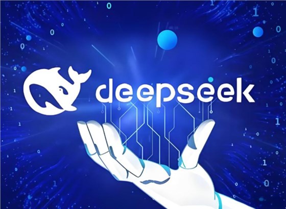 deepseek0219-1
