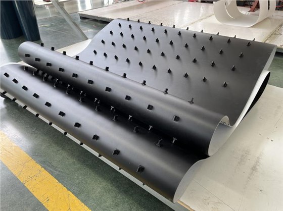 光選機(jī)皮帶0729-3