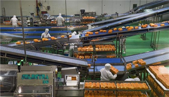 農(nóng)產(chǎn)品消費(fèi)-6