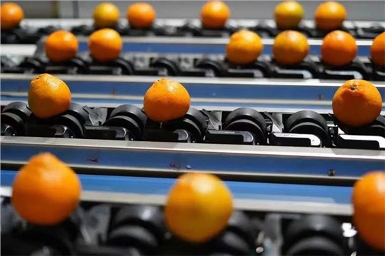 農(nóng)產(chǎn)品消費(fèi)-9