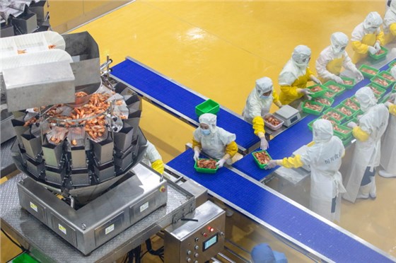 食品輸送帶0924-1