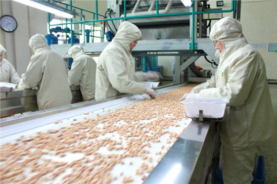 食品輸送帶0924-5