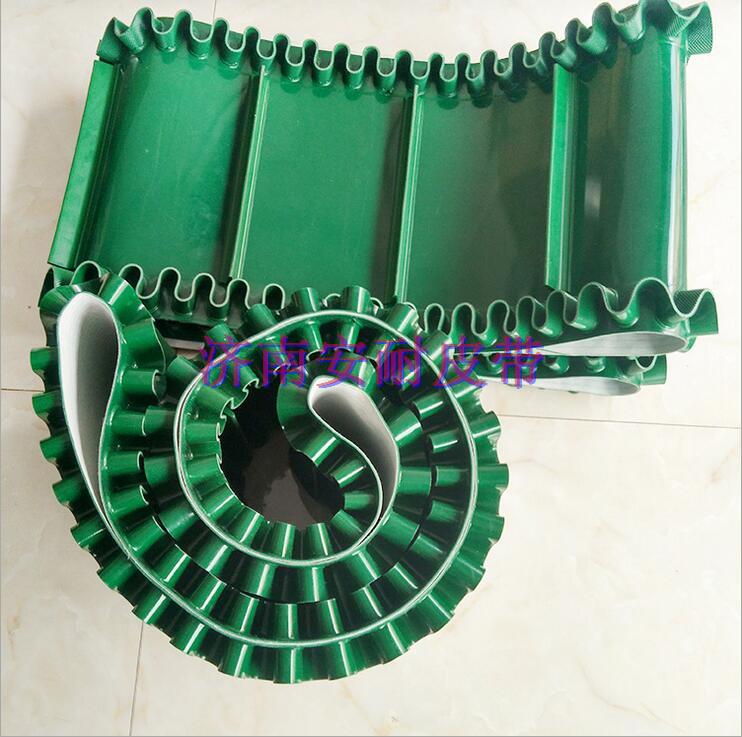 裙邊擋板輸送帶 (1)