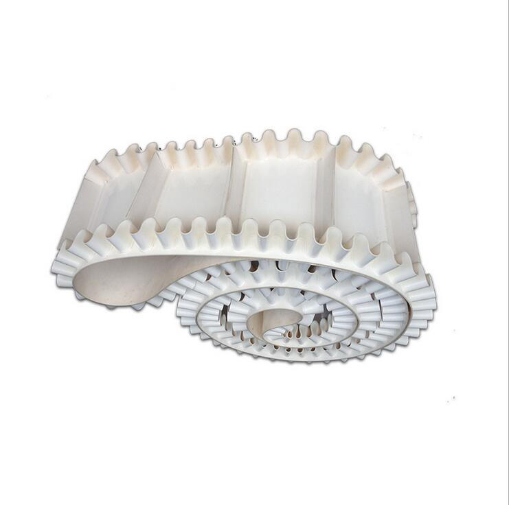 裙邊擋板輸送帶 (5)