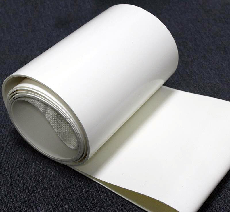 濟南安耐食品輸送帶