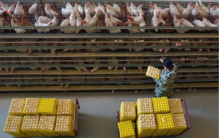 微信圖片_20240104145619