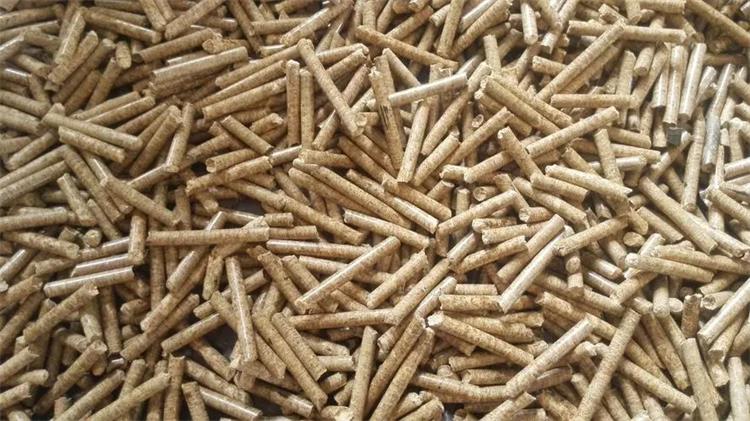 u=1096062311,3512583179&fm=253&fmt=auto&app=138&f=JPEG_看圖王