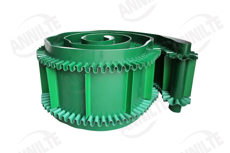 生物質顆粒輸送帶2