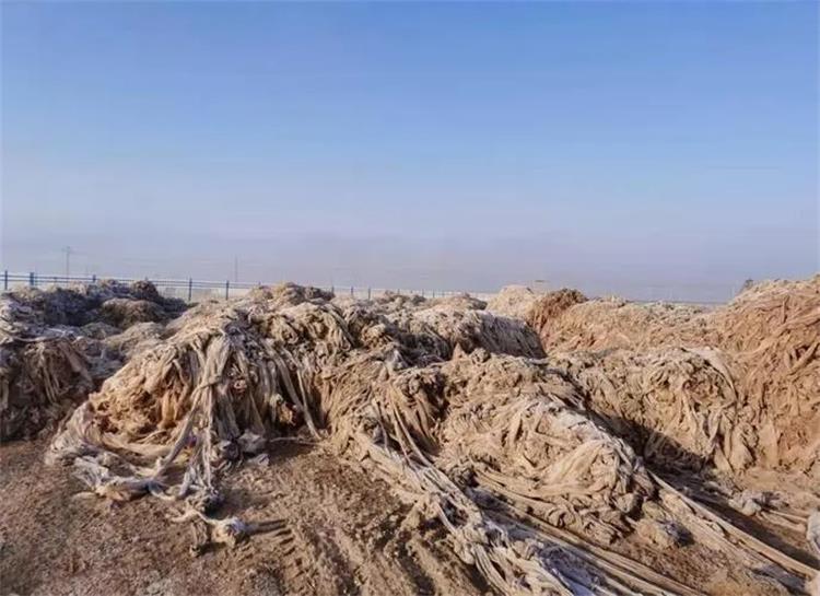 u=3297413935,2494099724&fm=253&fmt=auto&app=138&f=JPEG_看圖王