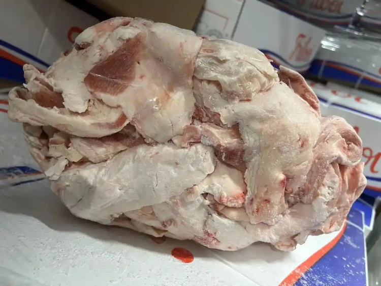 生脂肪輸送帶0124-2