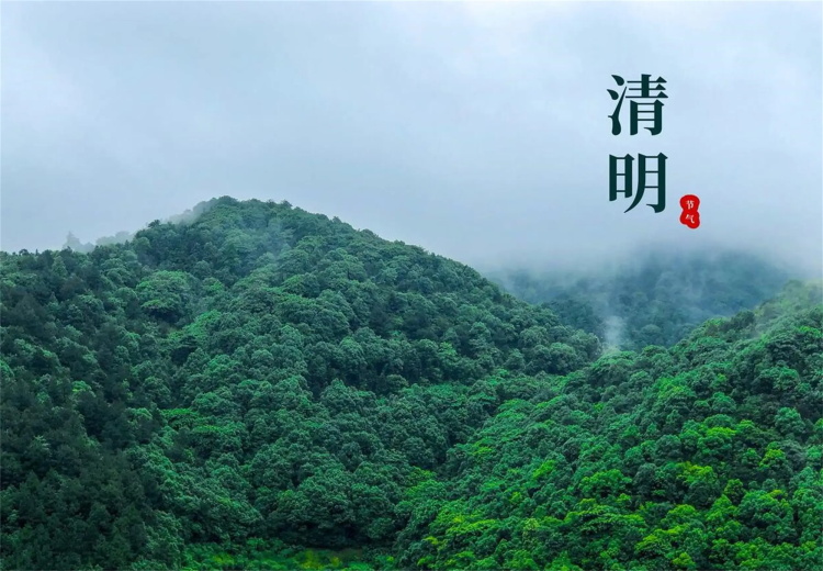 清明節(jié)0402-2