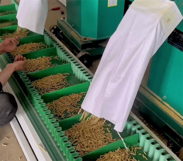 裙邊擋板輸送帶1020-8