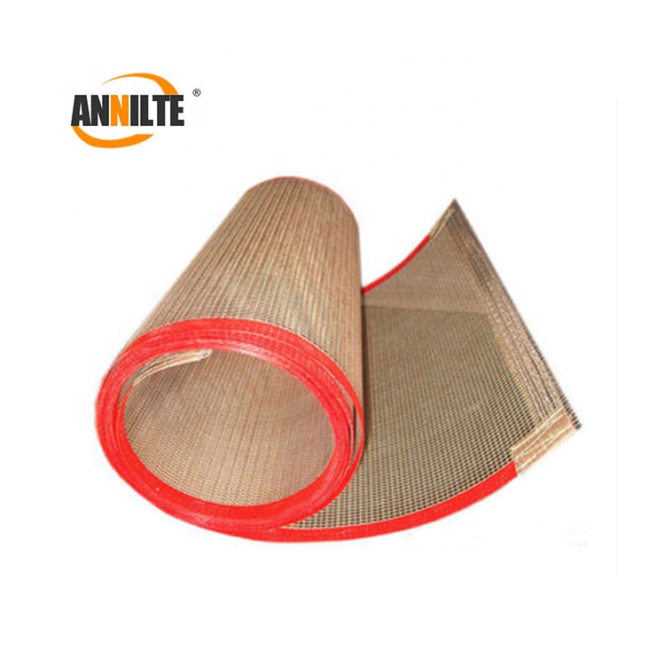 特氟龍輸送帶布帶 鐵氟龍網帶網格耐高溫輸送帶廠家 多種規格型號 特氟龍輸送帶布帶 鐵氟龍網帶網格耐高溫輸送帶廠家 多種規格型號