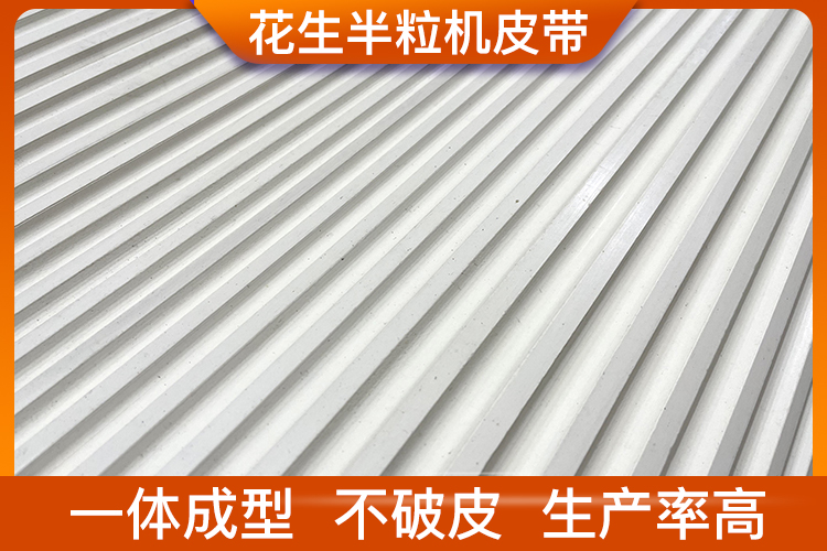 花生半粒機(jī)皮帶 花生半粒機(jī)皮帶