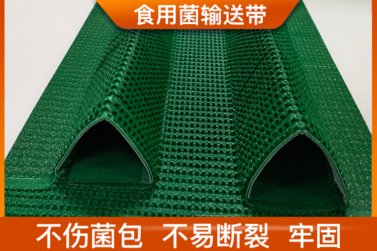 食用菌輸送帶 食用菌輸送帶