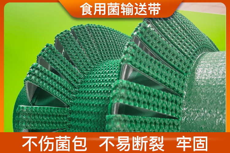 食用菌輸送帶 食用菌輸送帶