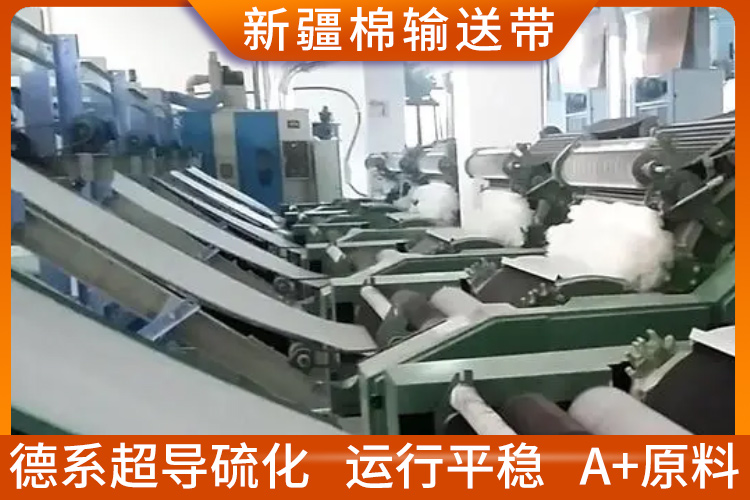 新疆棉-棉短絨棉漿粕輸送帶 新疆棉-棉短絨棉漿粕輸送帶