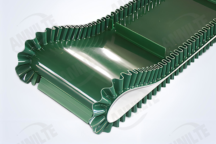 生物質顆粒輸送帶1