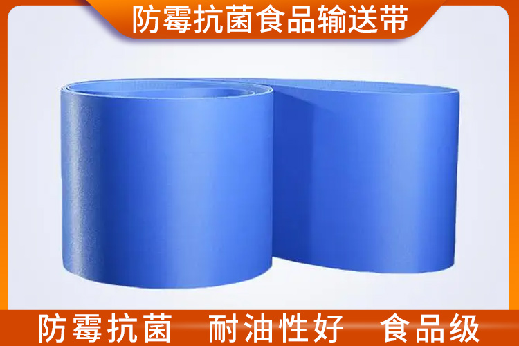 防霉抗菌食品輸送帶 防霉抗菌食品輸送帶