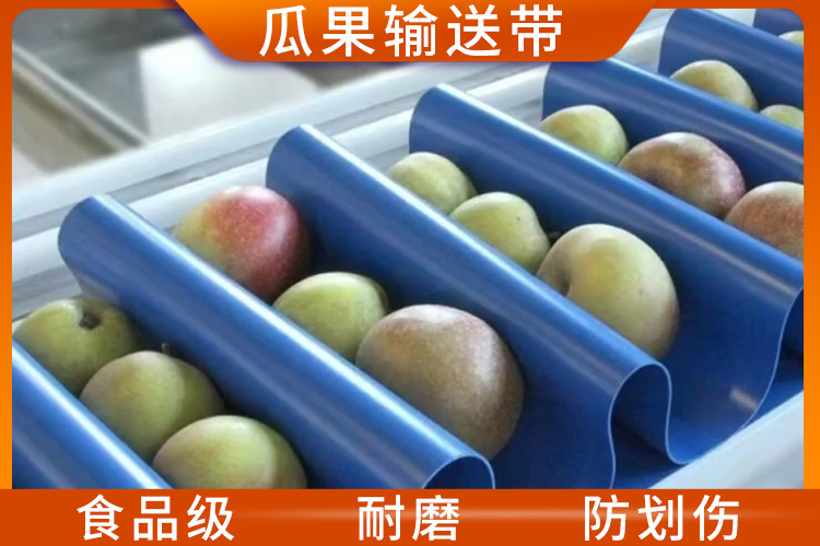 瓜果輸送帶 瓜果輸送帶