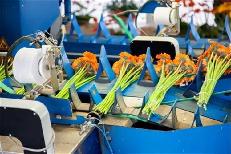 鮮花捆扎機皮帶 鮮花捆扎機皮帶