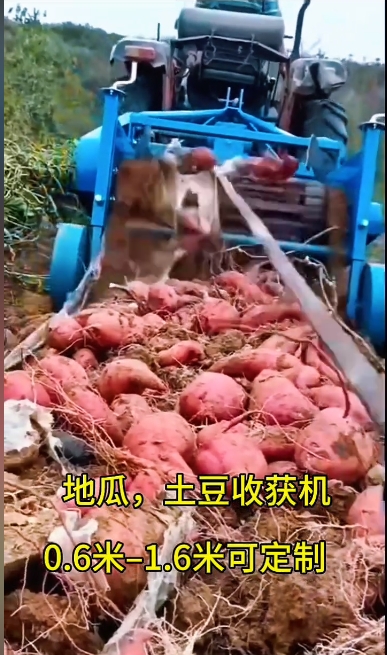 土豆收獲機皮帶 土豆收獲機皮帶