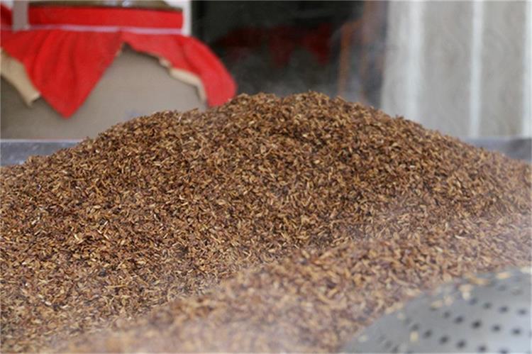 酒糟輸送帶 酒糟輸送帶